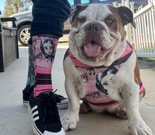 Brown and Pink striped pet shirt/ tank top