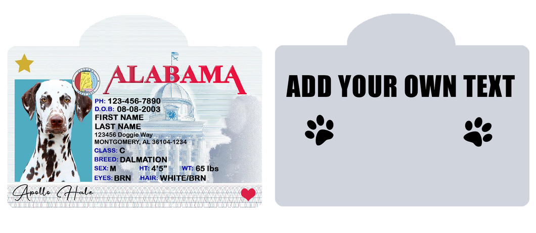 Pet ID Tag Personalized with your state