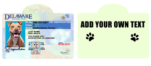 Pet ID Tag Personalized with your state