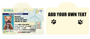 Pet ID Tag Personalized with your state