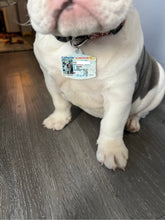 Pet ID Tag Personalized with your state