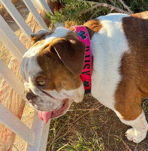 Personalized Dog collars with your pets name