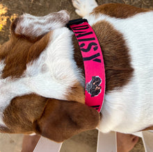 Personalized Dog collars with your pets name