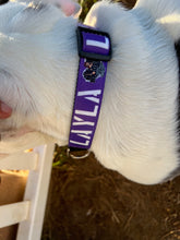 Personalized Dog collars with your pets name