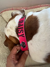 Personalized Dog collars with your pets name