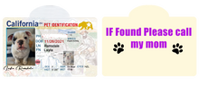 Pet ID Tag Personalized with your state