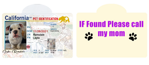 Pet ID Tag Personalized with your state