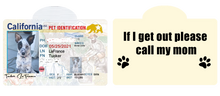 Pet ID Tag Personalized with your state